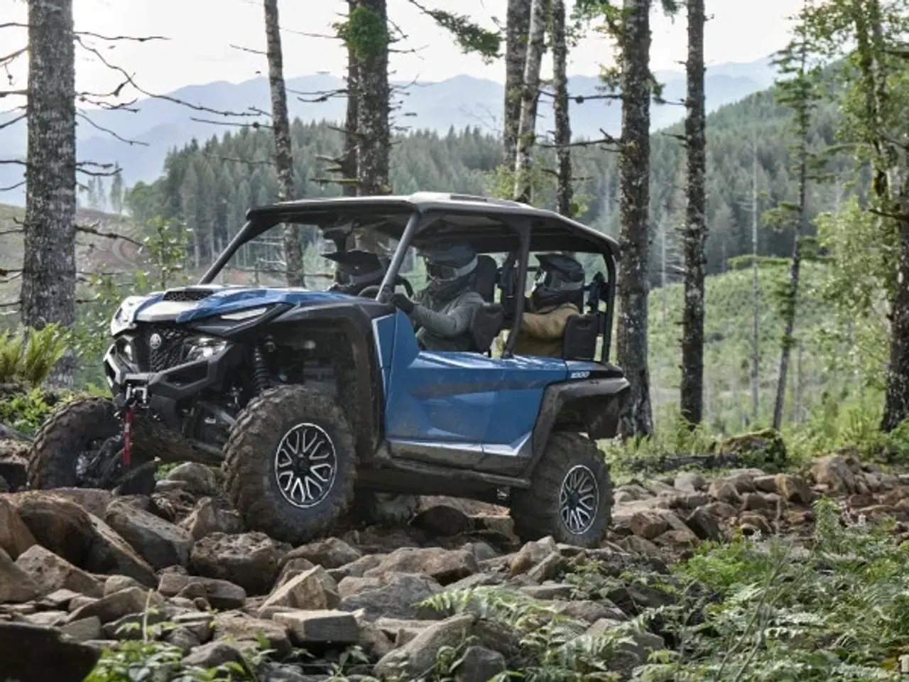 Billede 3 - Yamaha Wolverine RMAX4 1000 Compact LE