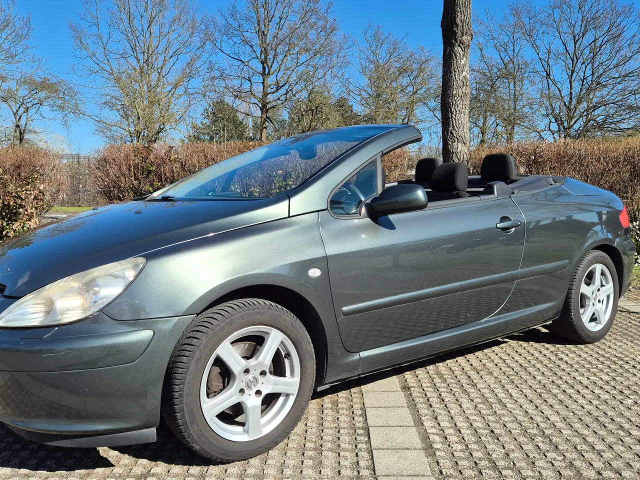 Billede 4 - 307 Cabriolet 