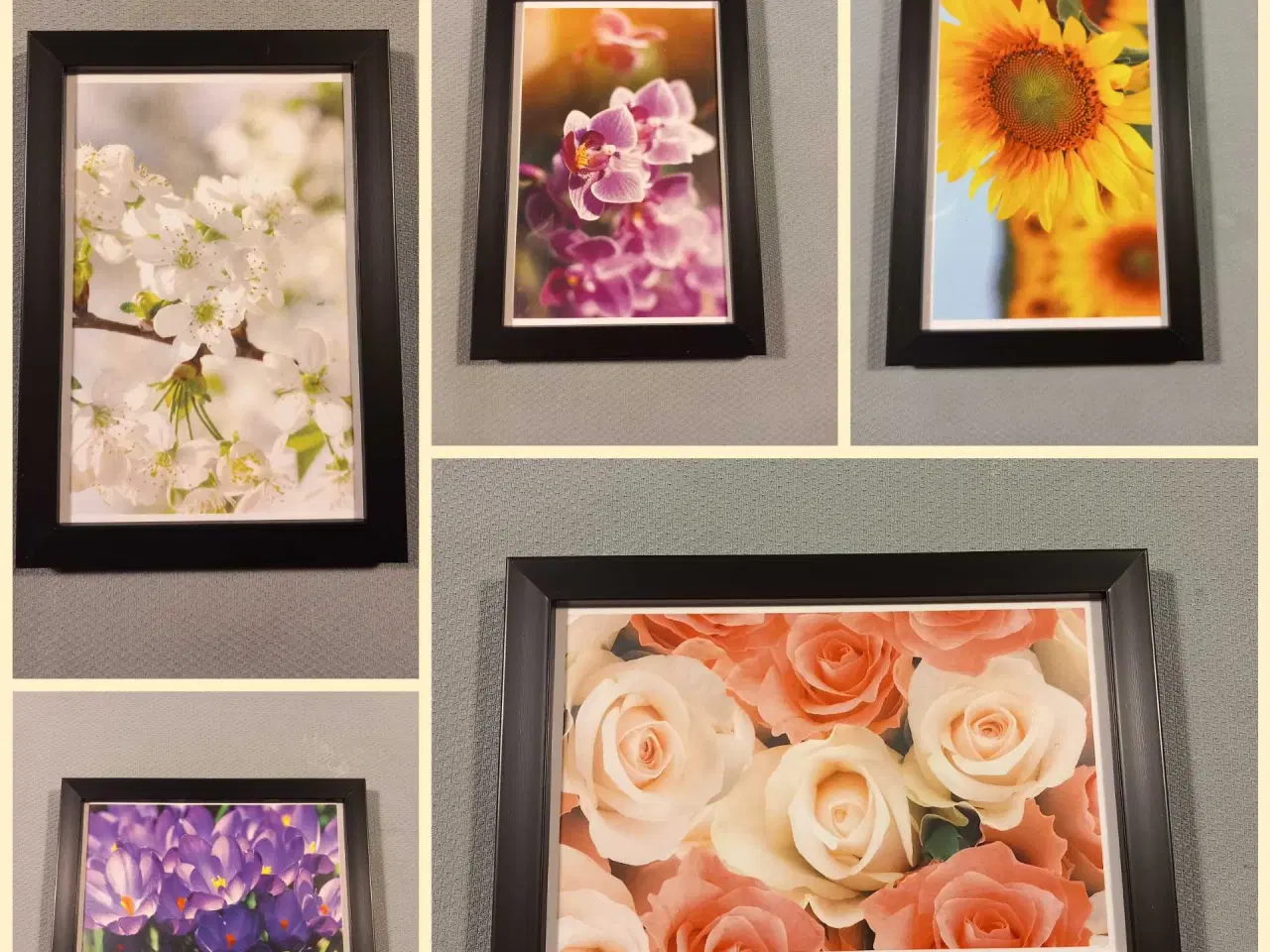 Billede 1 - Forskellige blomster  Billeder i sort ramme