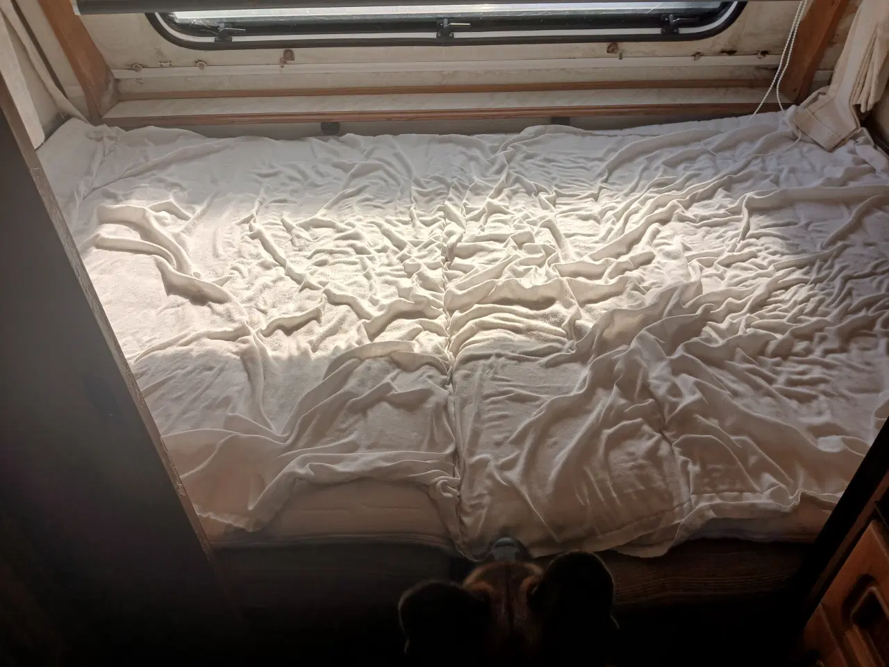Billede 4 - Campingvogn