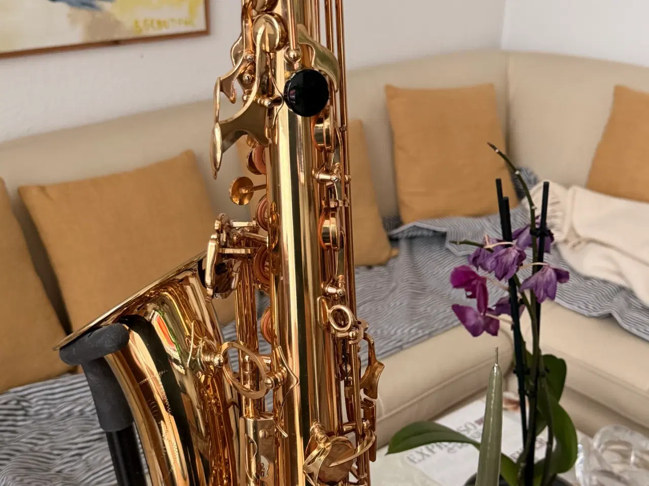 Billede 10 - Passionne PARIS - Alt saxofon, brugt få gange