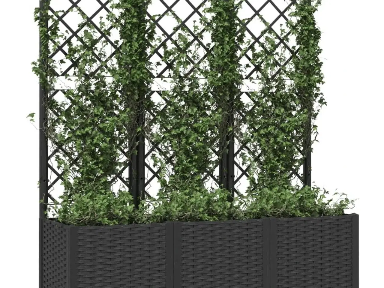 Billede 3 - Haveplantekasse med espalier sort 120x40x136 cm PP