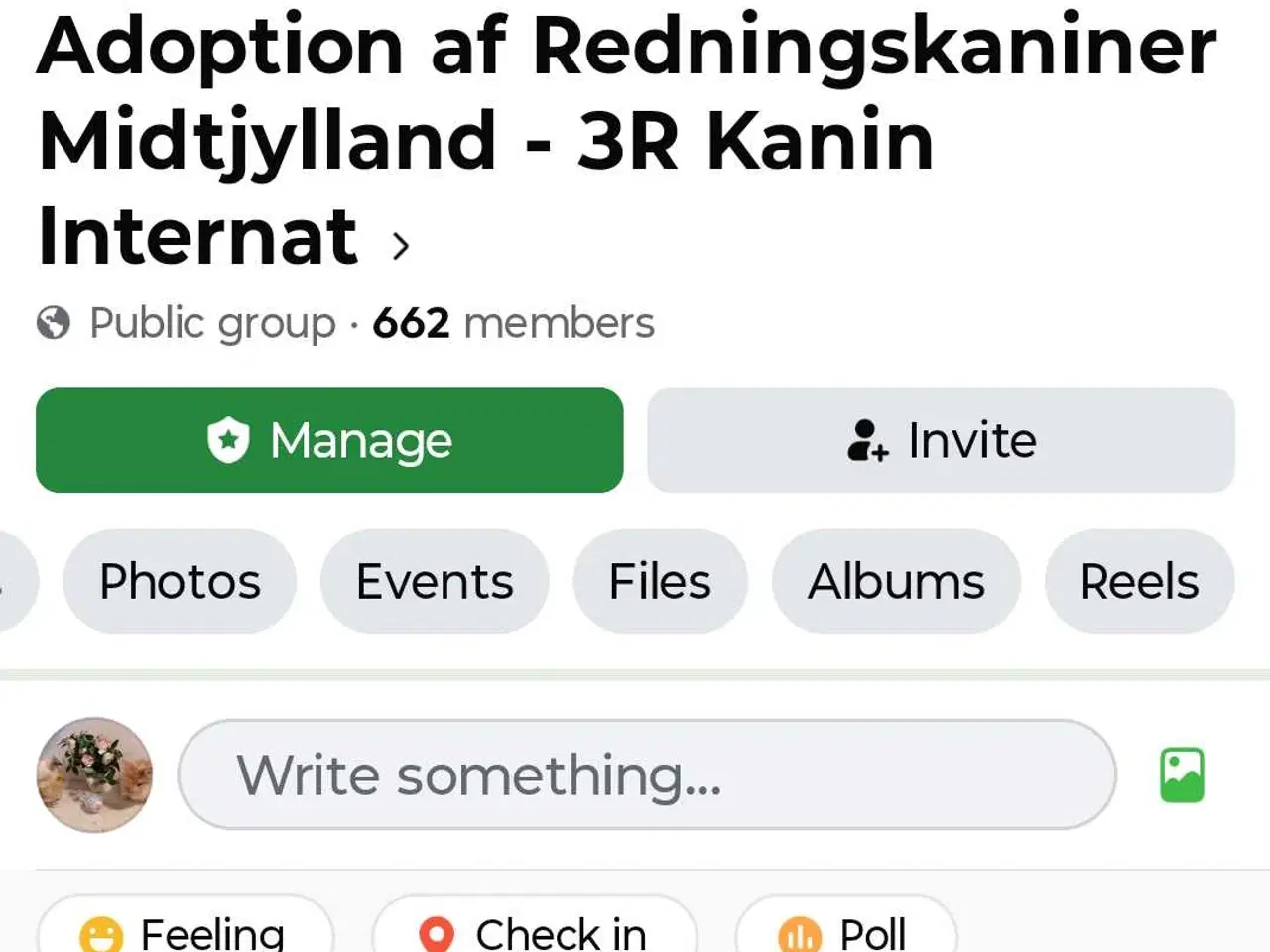 Billede 3 - Teddy/Løvehoved/Hermelin steriliseret hun kanin