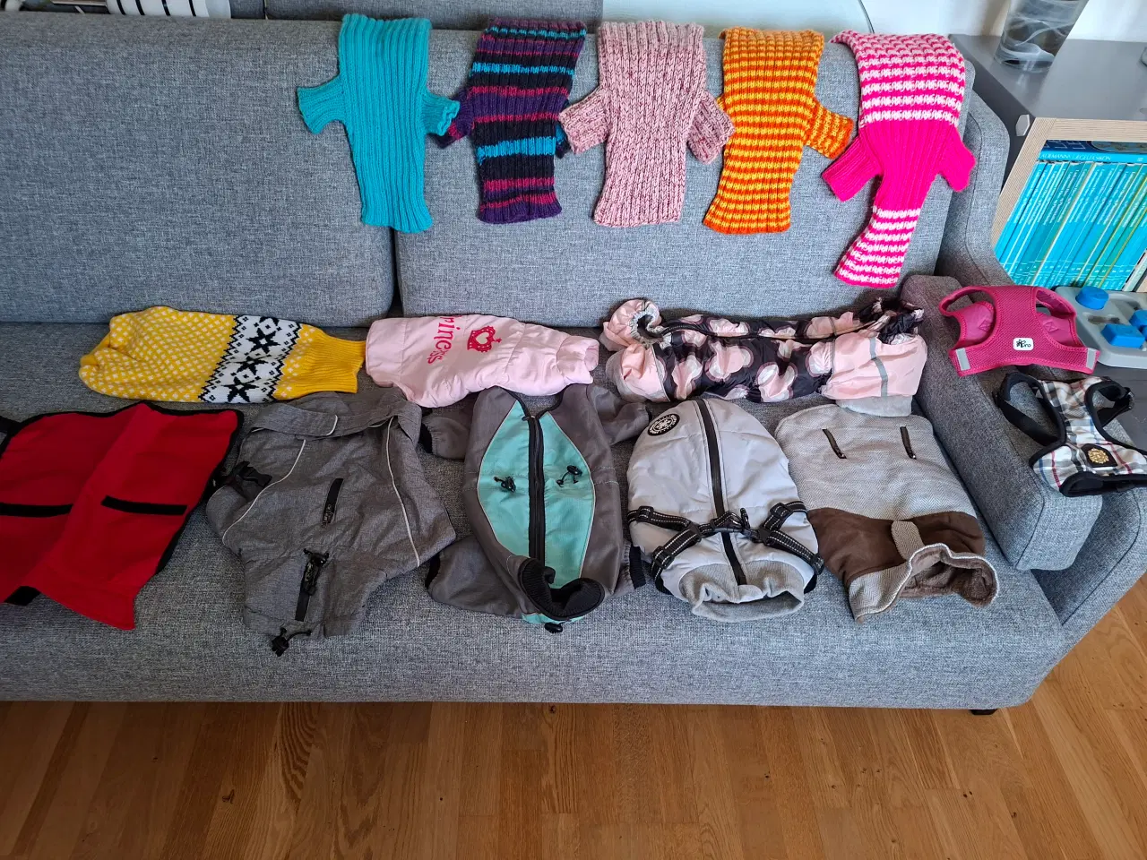 Billede 1 - Diverse hundedragter