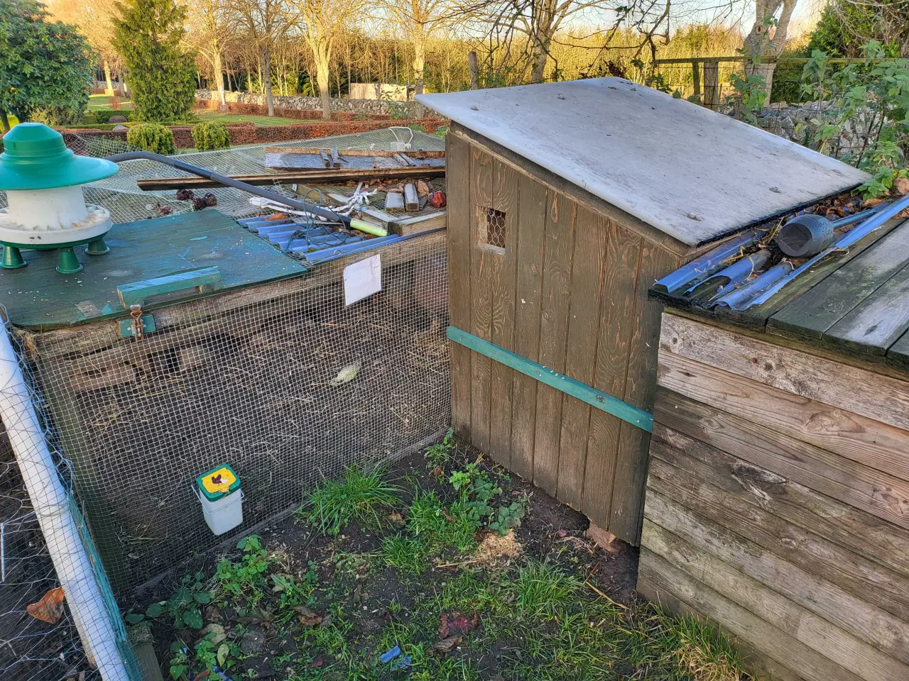 Billede 1 - Høns og hønsehus og hønsegård