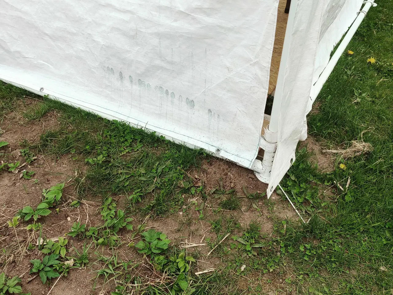 Billede 7 - Festtelt LUX 4x8meter