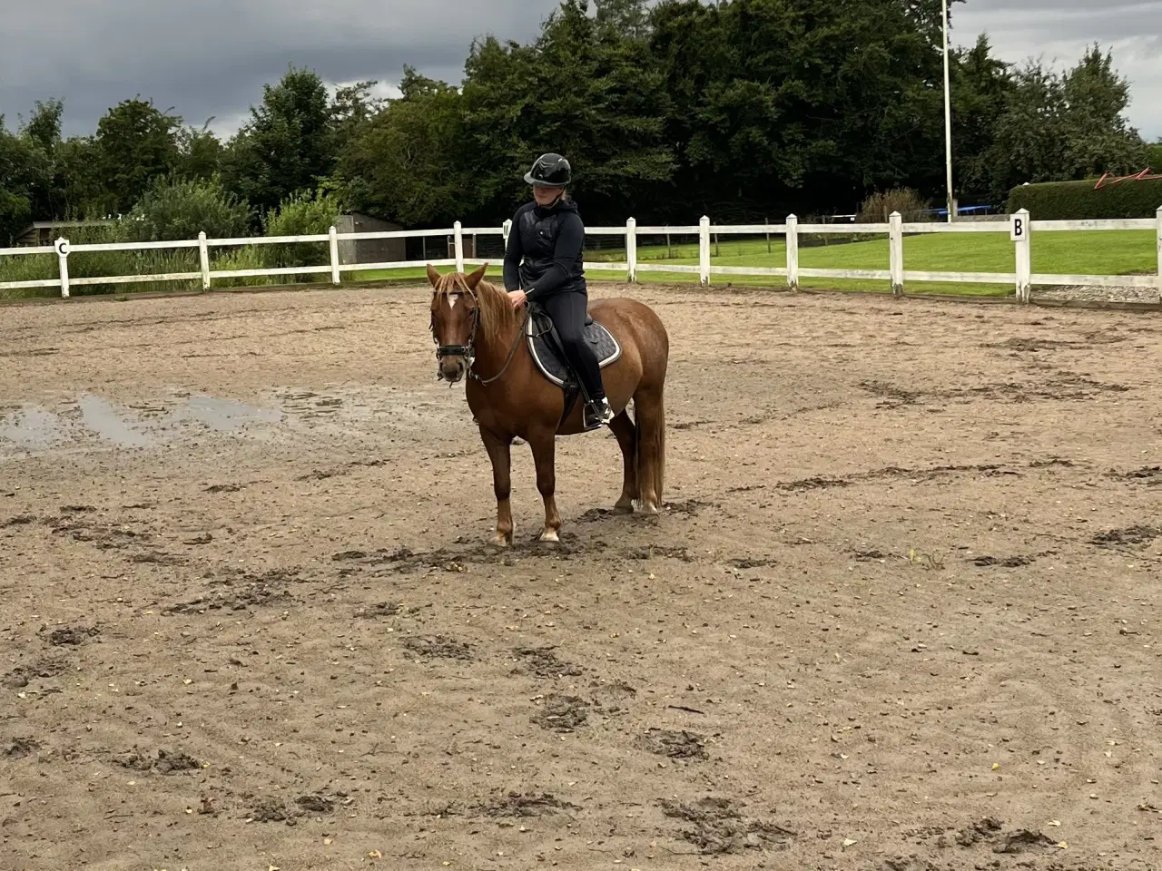 Billede 6 - Hurtigt salg ønskes 