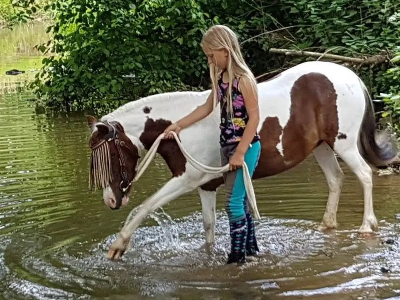 Billede 8 - Smuk og rar børnepony