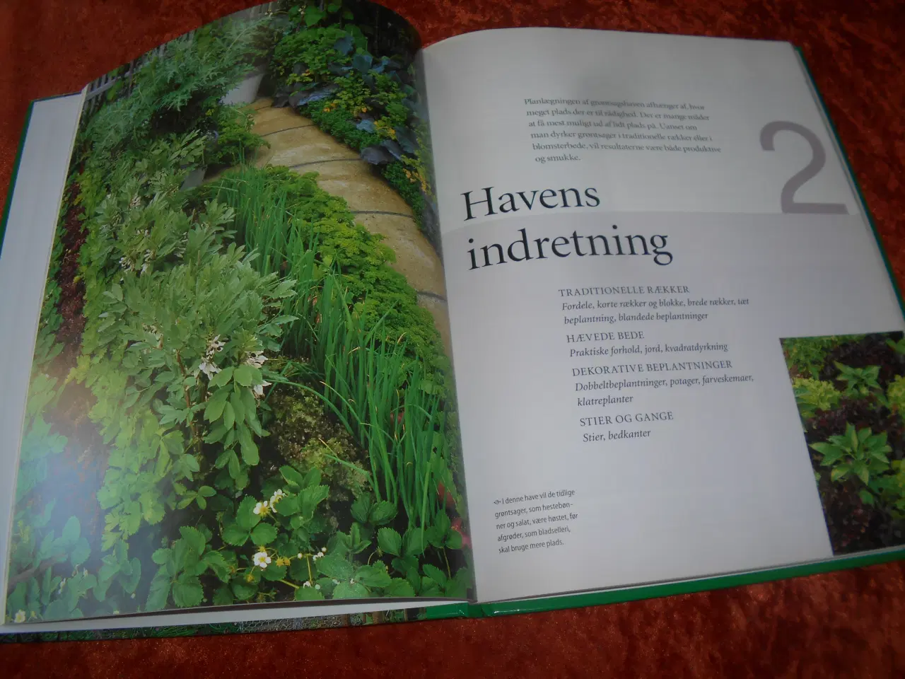 Billede 3 - Den praktiske køkkenhave, Barbara Segall,