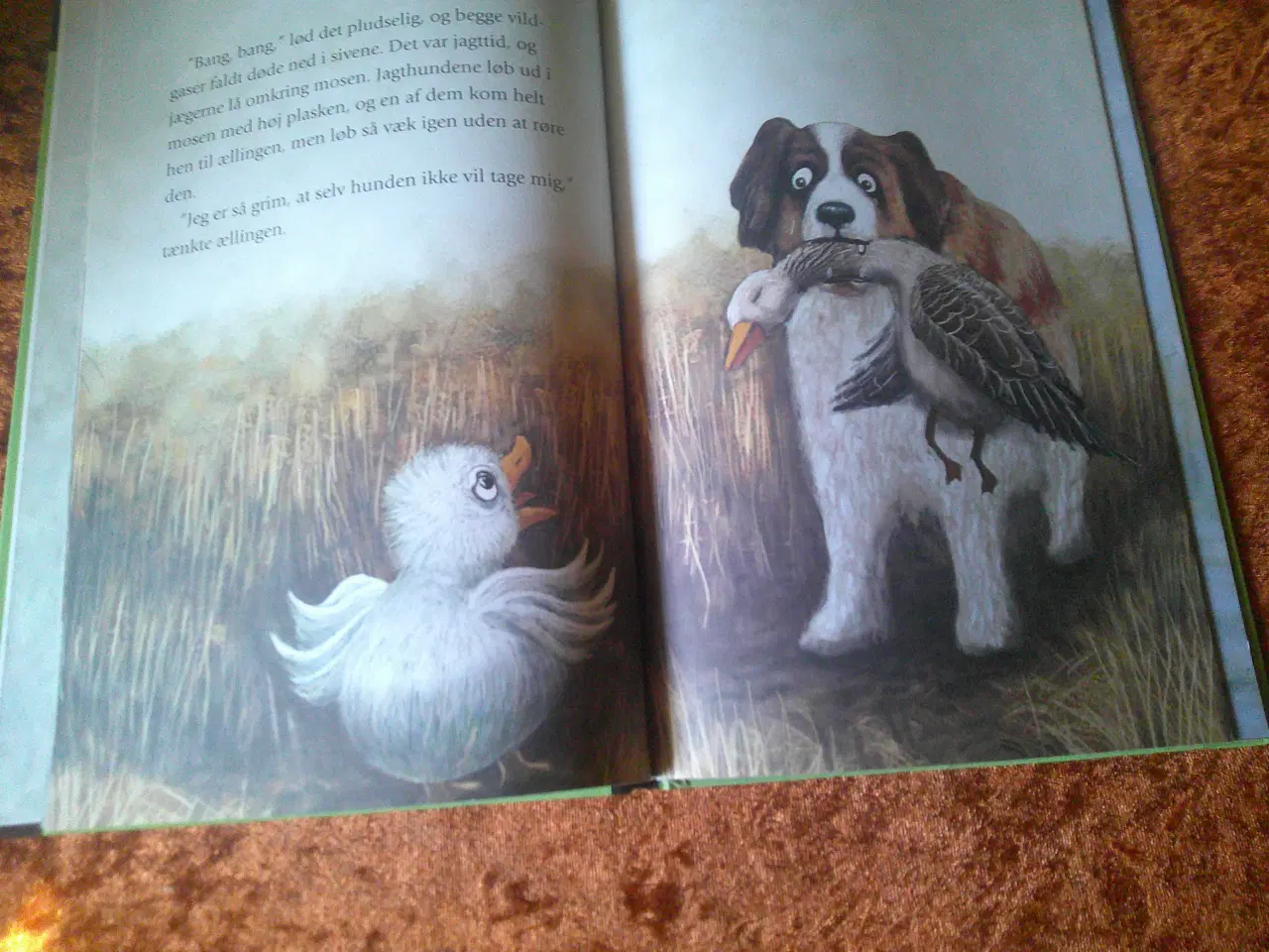 Billede 3 - Den grimme ælling, H. C. Andersen