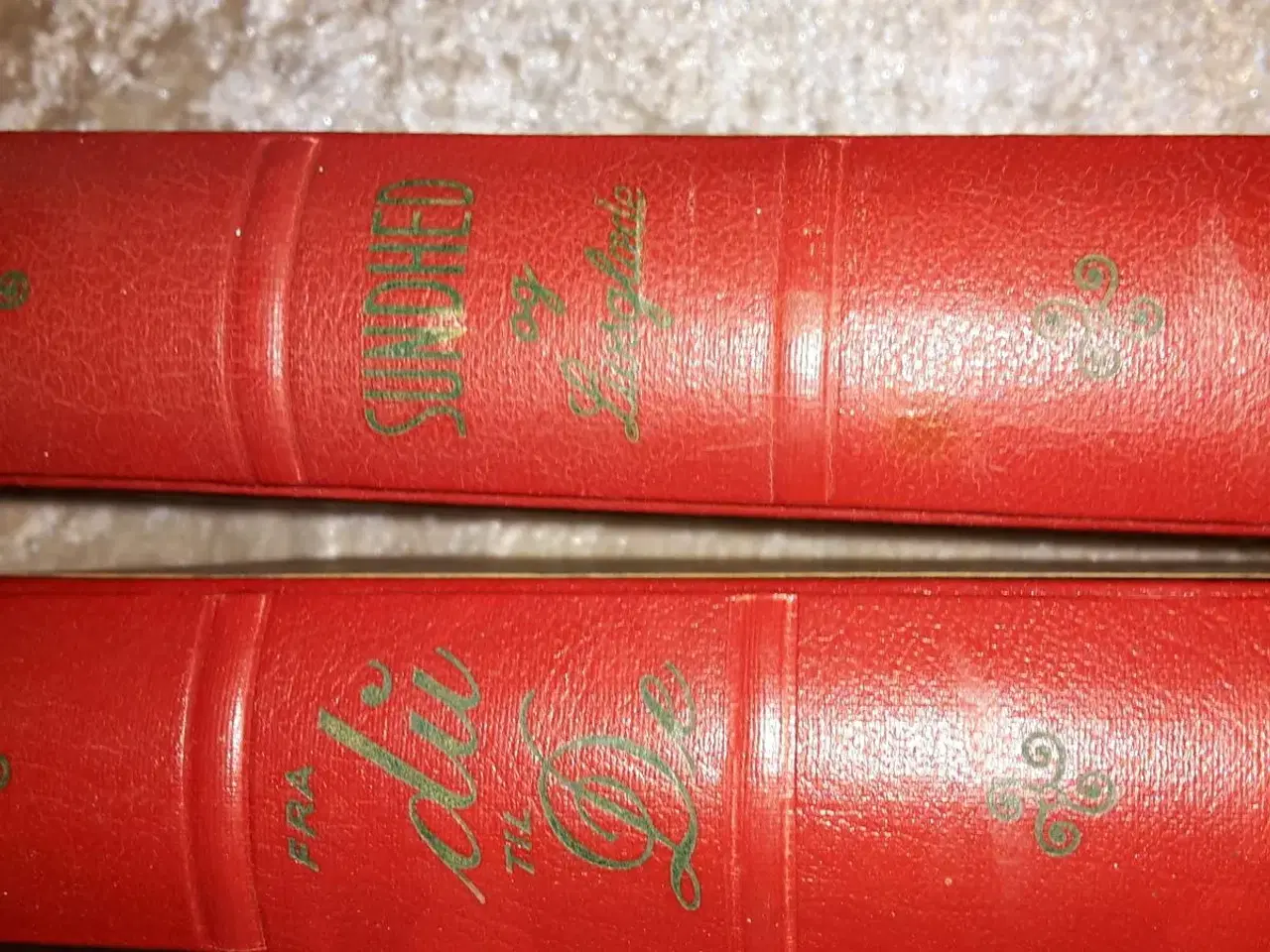Billede 2 - 2 gamle bøger i bind