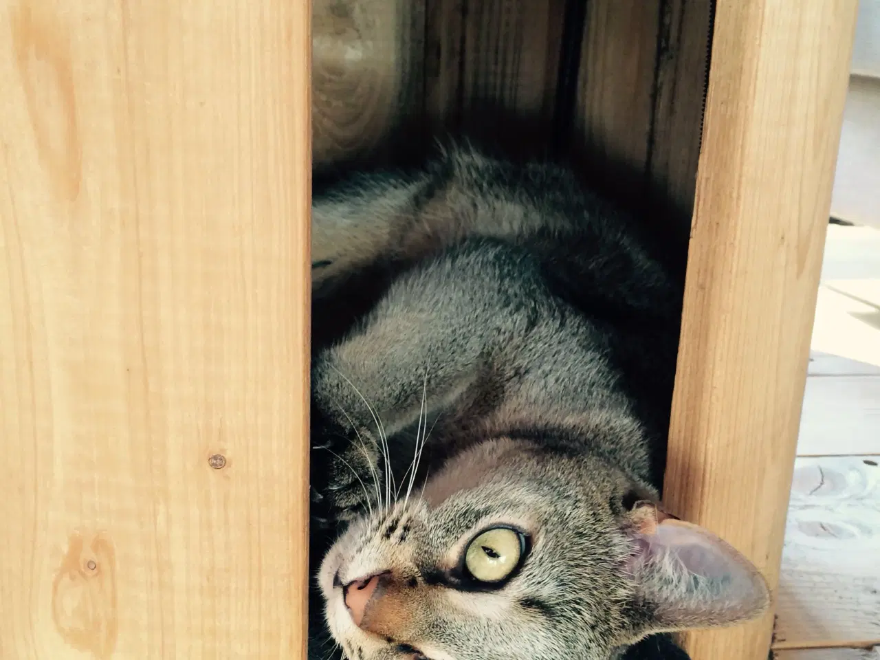 Billede 3 - Kabeltromle sofabord