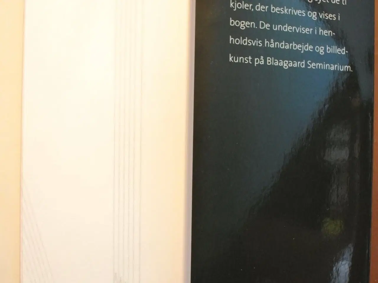 Billede 3 - sy din egen gallakjole, af marianne schandorff og 