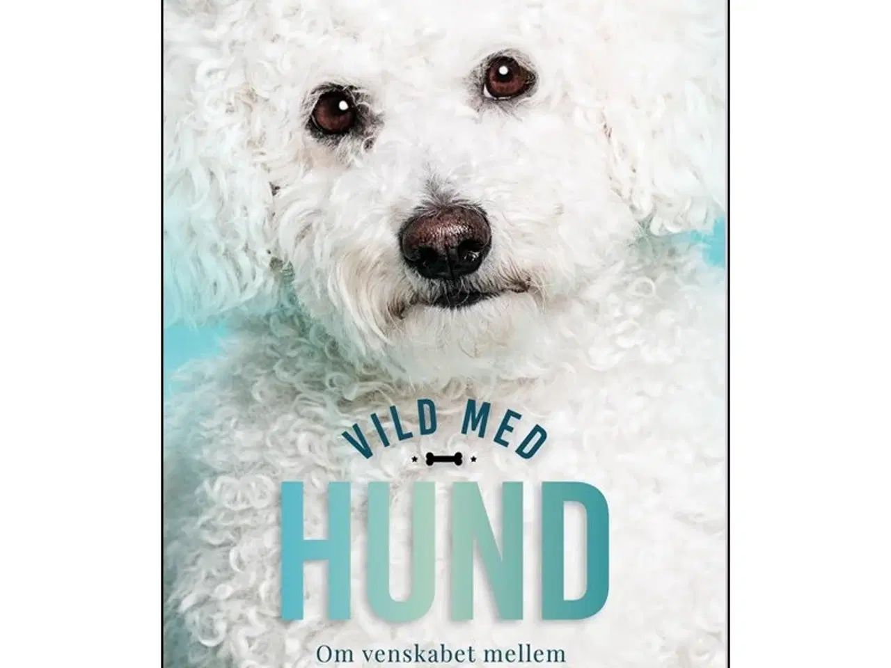 Billede 1 - Vild med Hund