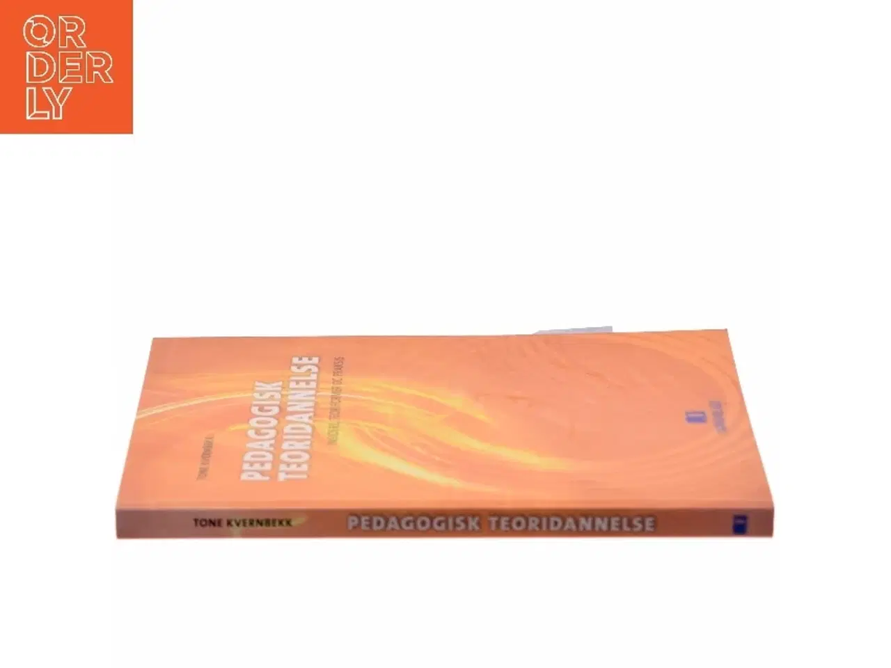 Billede 2 - Pedagogisk teoridannelse : insidere, teoriformer og praksis af Tone Kvernbekk (Bog)