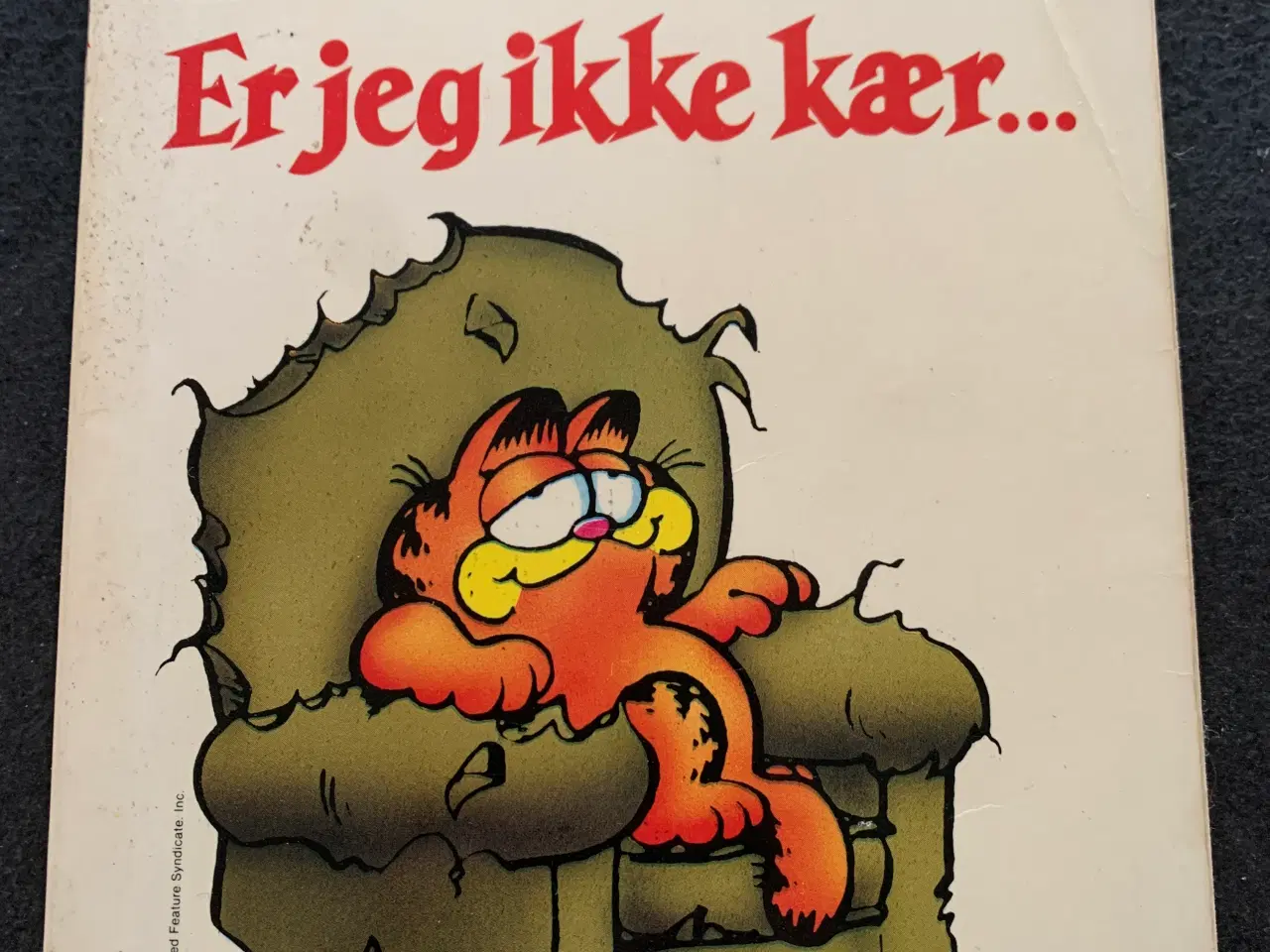 Billede 2 - Garfield