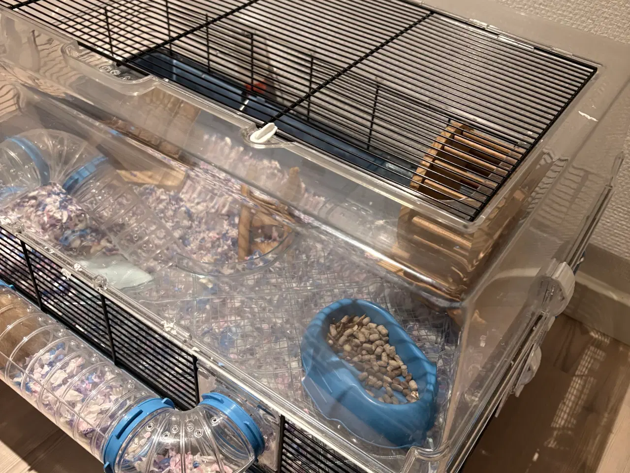 Billede 3 - Guldhamster