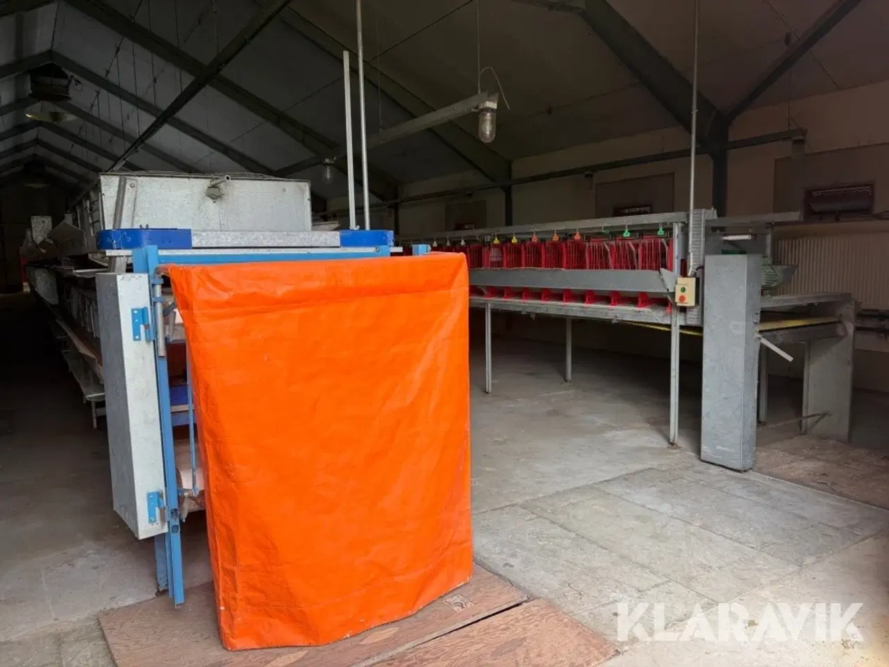 Billede 5 - Produktionslinje Big Dutchman + Landmeco æglægger system