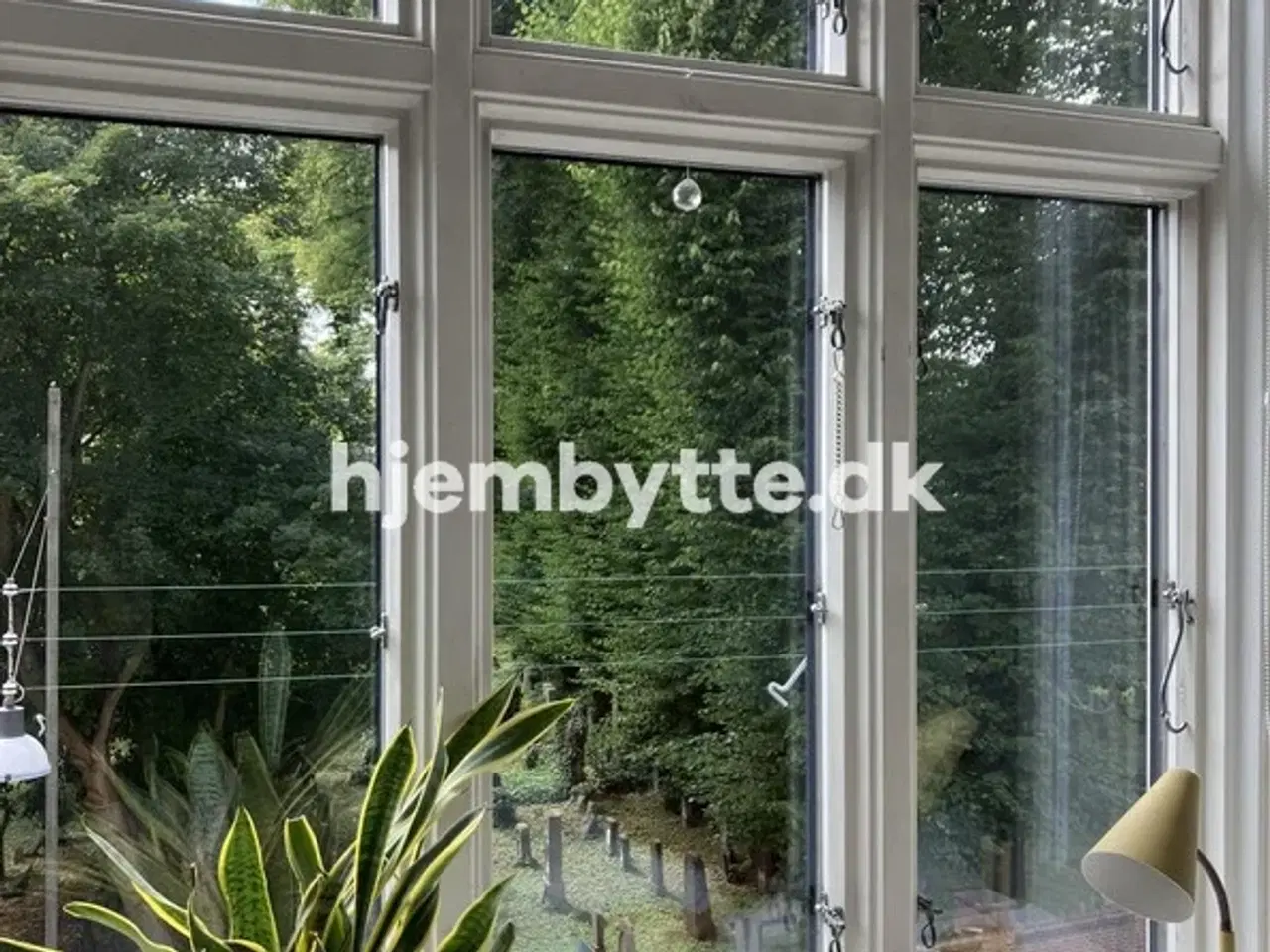 Billede 2 - Hjembytte - Guldbergsgade