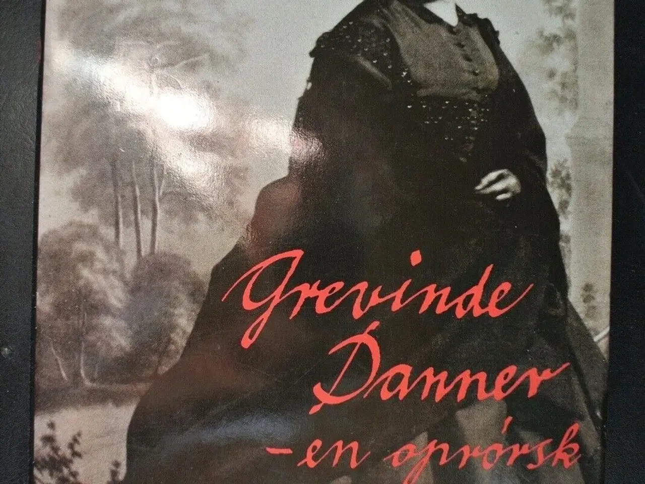 Billede 1 - grevinde danner - en oprørsk kvinde, af morten mei