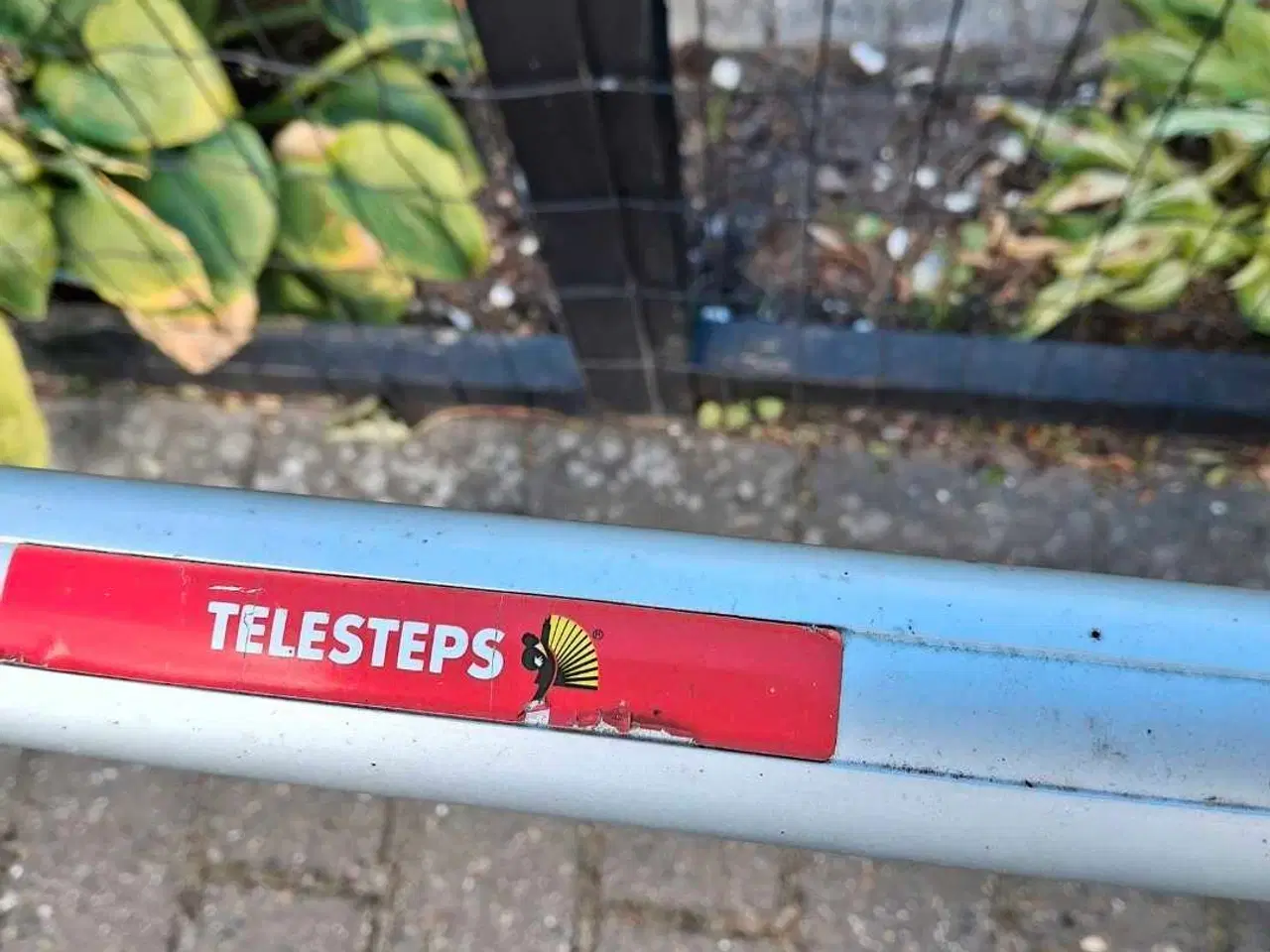 Billede 4 - Telesteps , stige