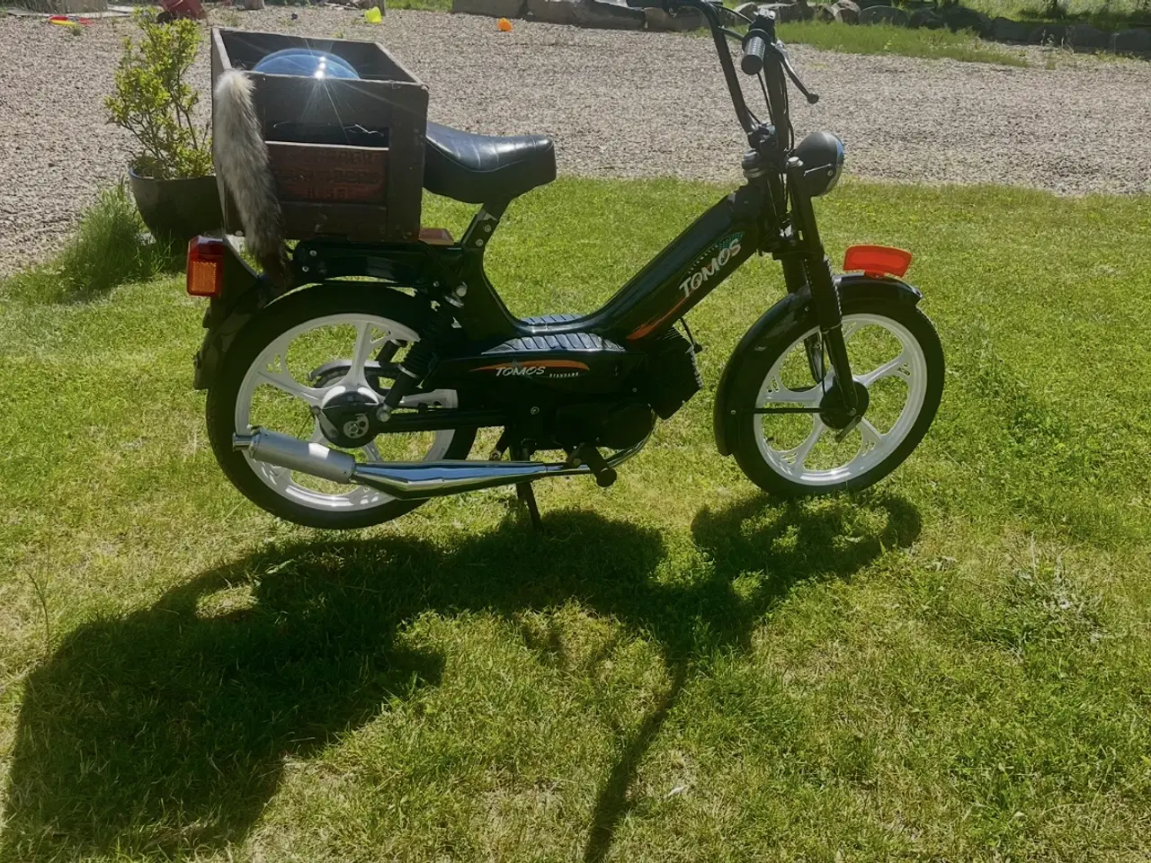 Billede 1 - Tomos Knallert. 