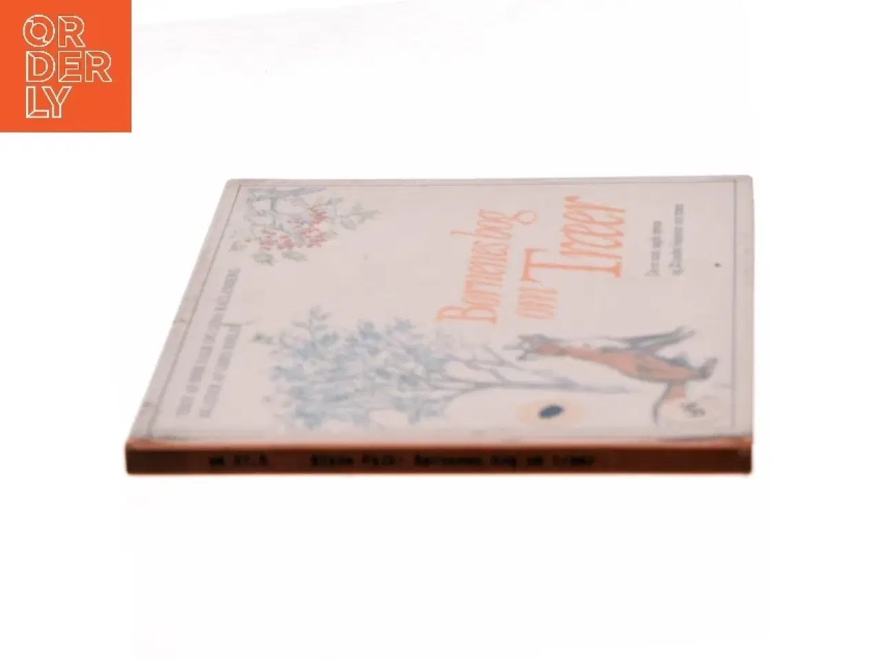 Billede 2 - Børnenes bog om Træer af Bisse Falk (Bog)