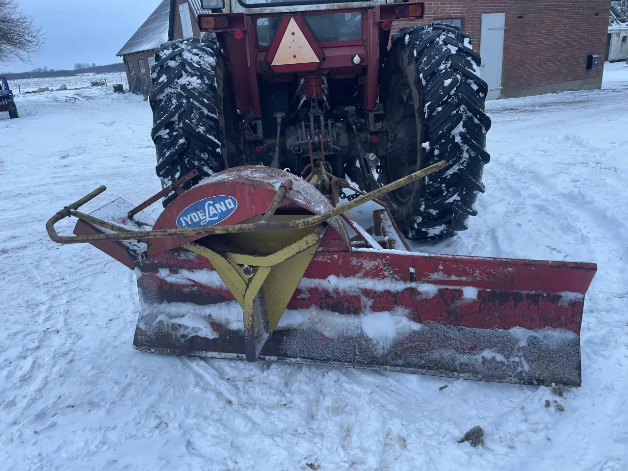 Billede 1 - Sneslynge JydeLand