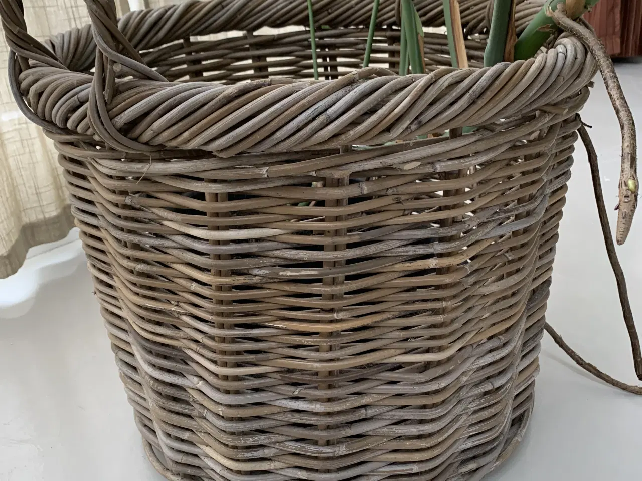 Billede 3 - Kurv i kraftig flet inklusiv monstera plante
