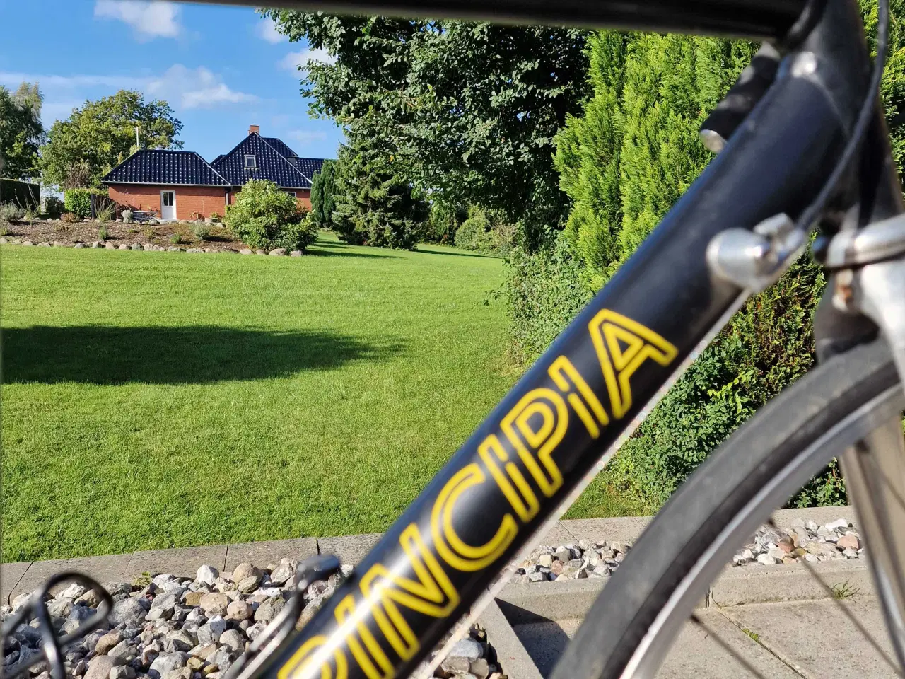 Billede 3 - Racercykel Principia retro