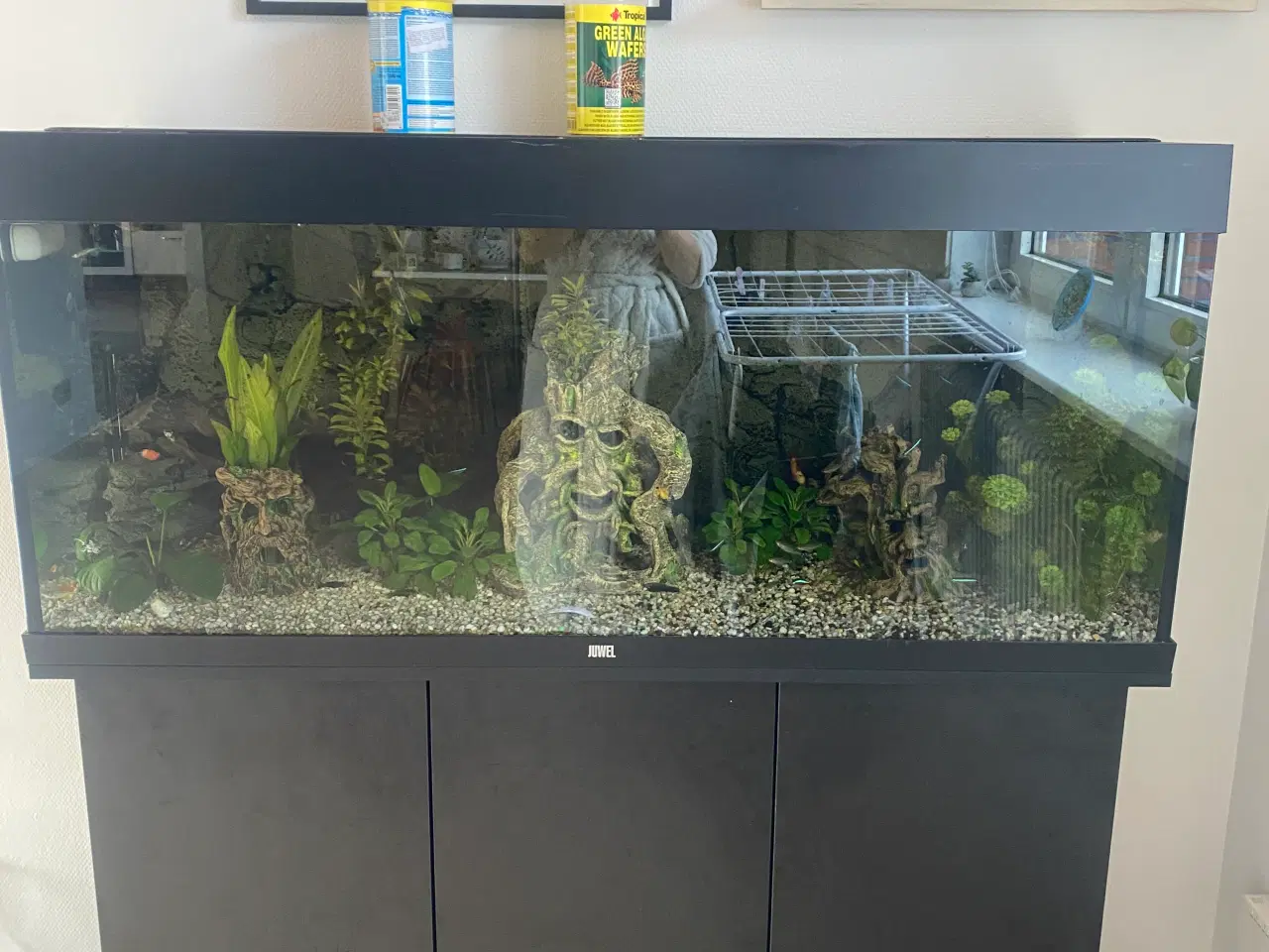 Billede 1 - Juwel akvarie
