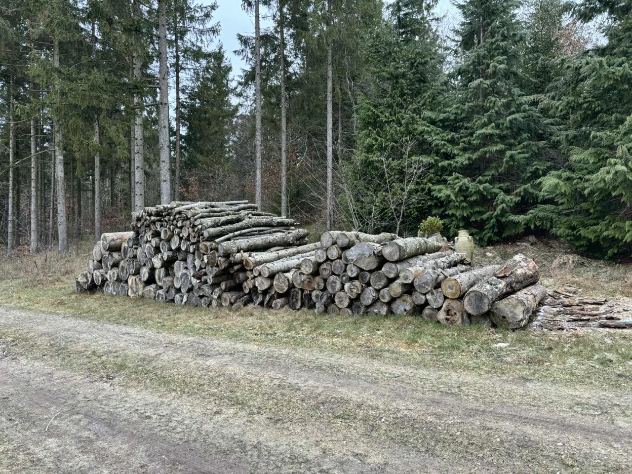 Billede 2 - Brænde - gran mm.