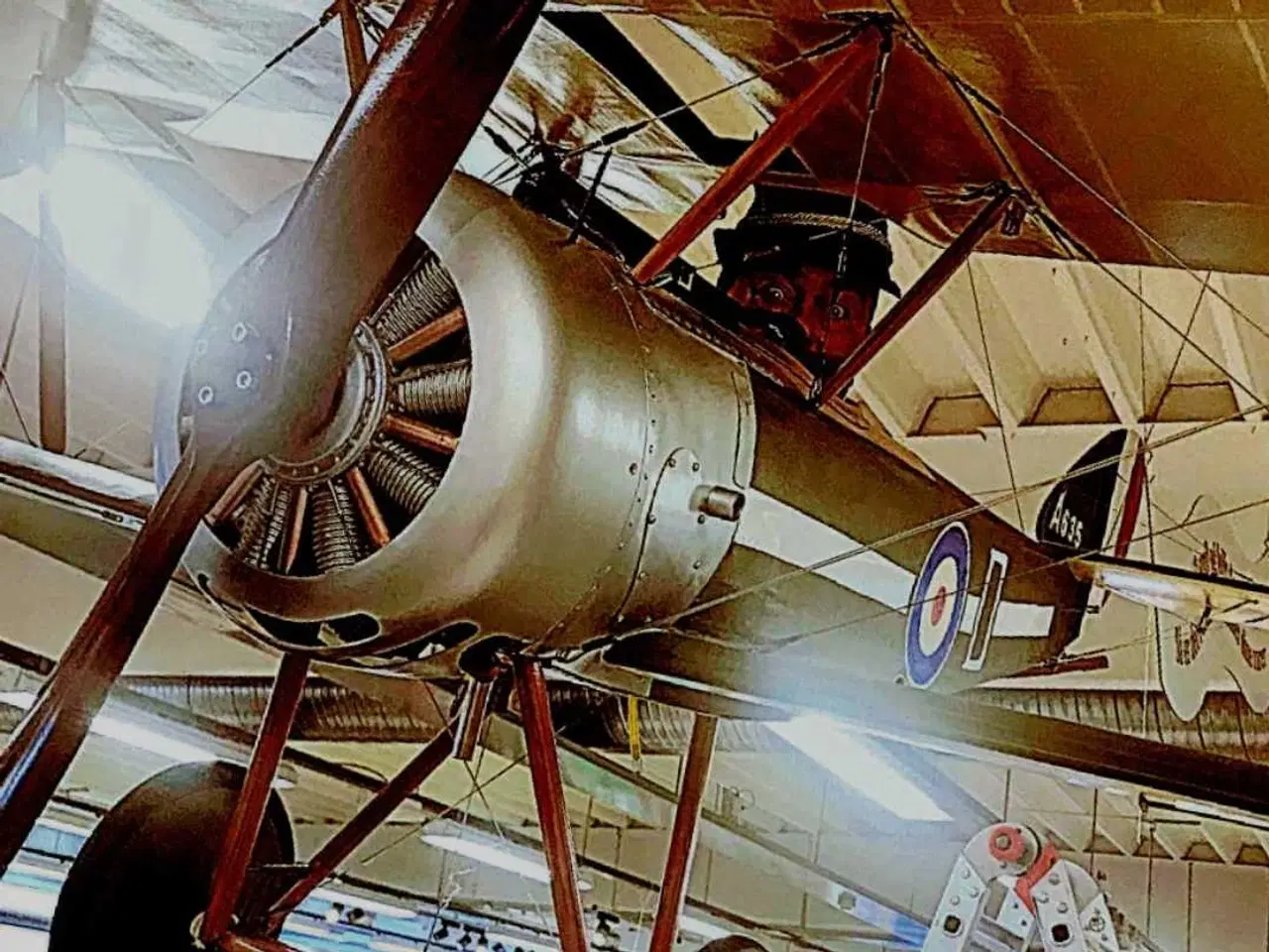 Billede 22 - Fjernstyret kæmpe fly, 1/3 størr, Toni Sopwith pup