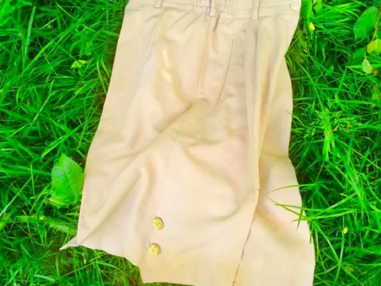 Billede 3 - Shorts med 'guld'knapper 