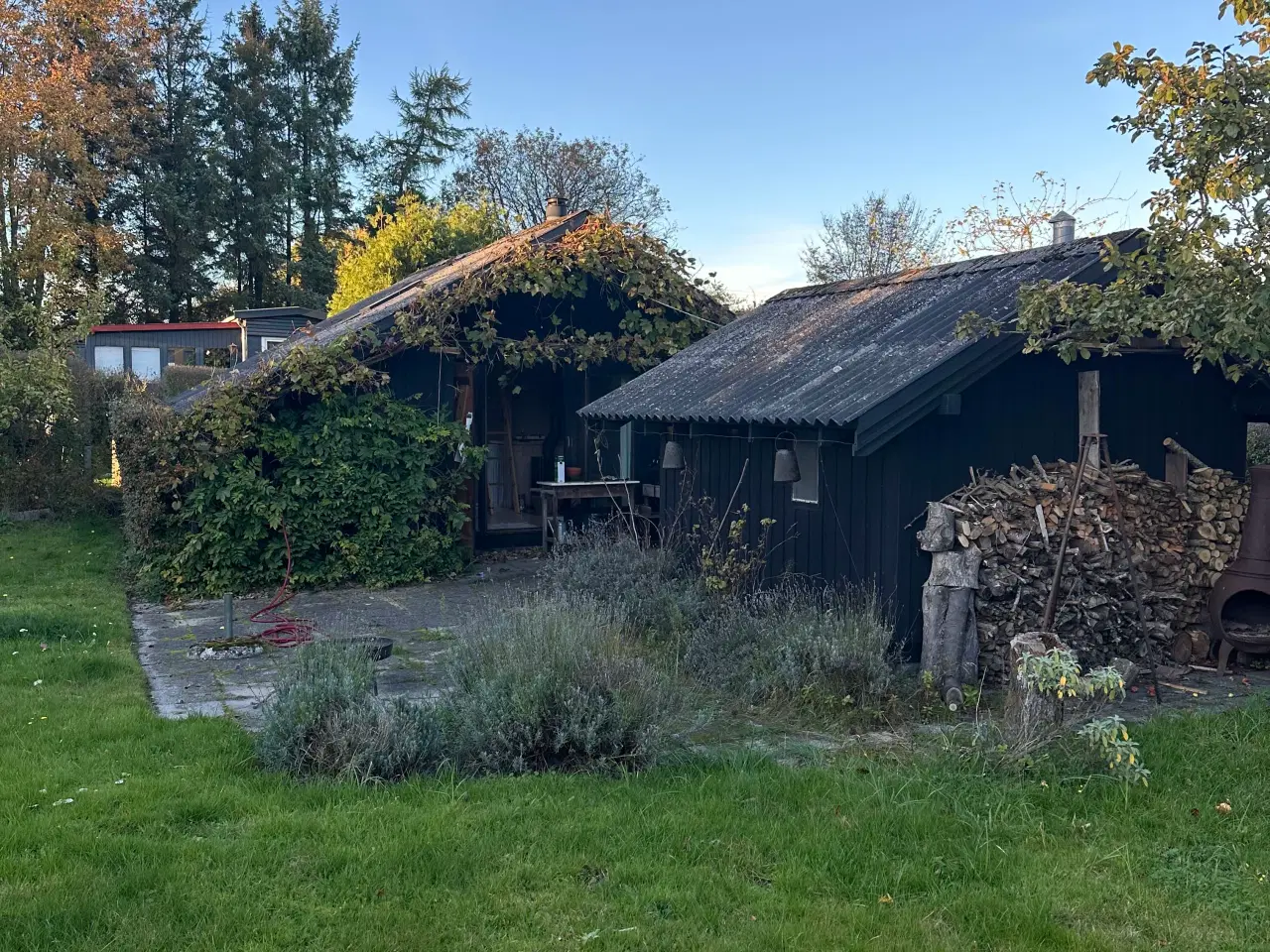 Billede 8 - Skøn kolonihave med fantastisk beliggenhed 