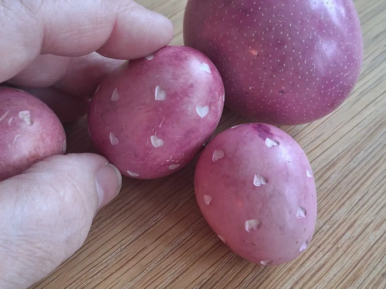 Billede 3 - Afrikansk stenæg 