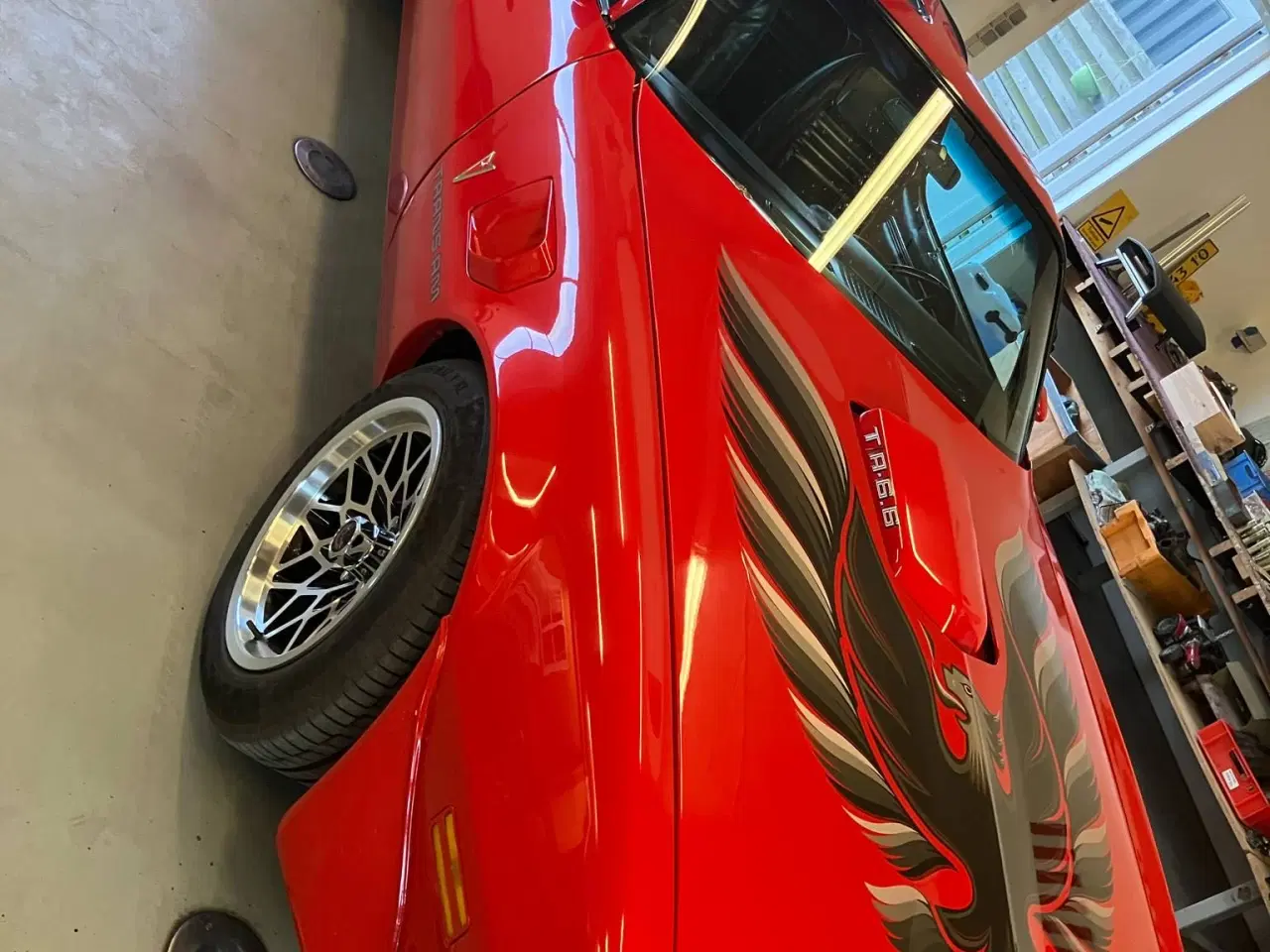 Billede 7 - Trans Am