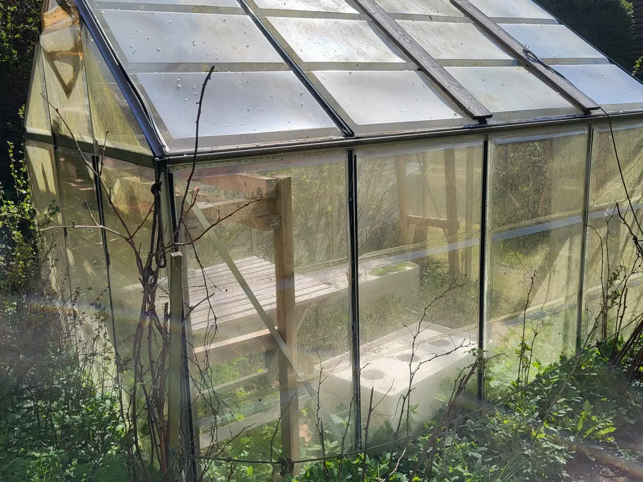Billede 1 - Drivhus, gratis mod afhenting