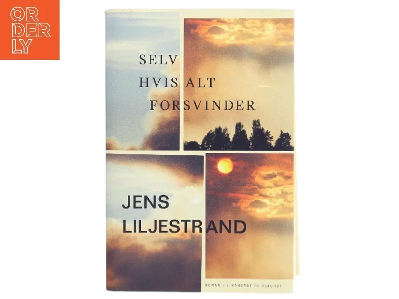 Billede 1 - Selv hvis alt forsvinder af Jens Liljestrand (f. 1974) (Bog)