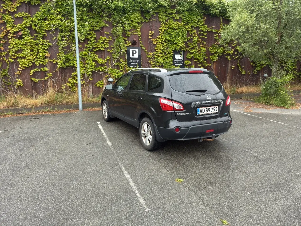 Billede 7 - Nissan Qashqai+2 1,6 dCi Visia 7prs