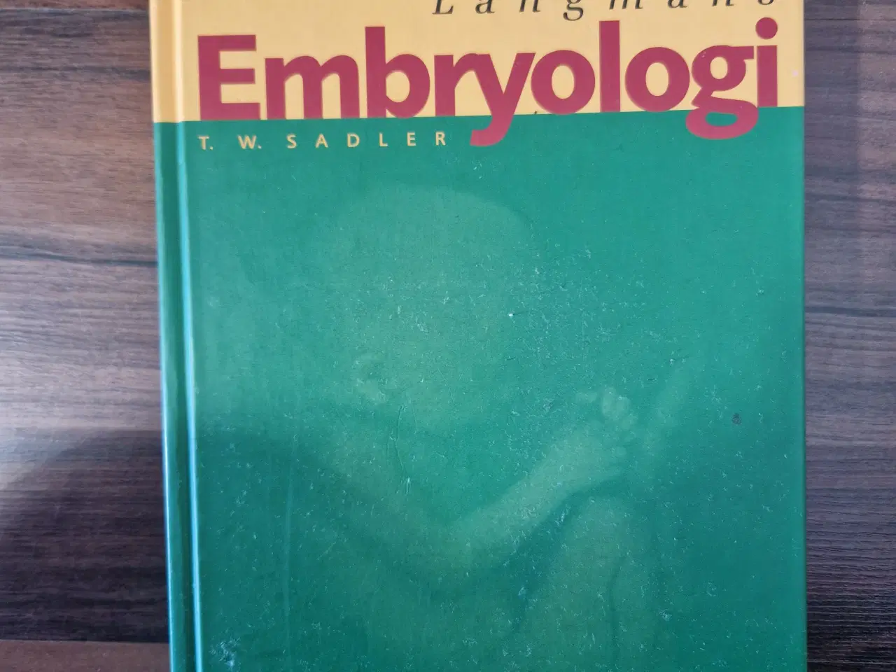 Billede 1 - Embryologi 3 udgave