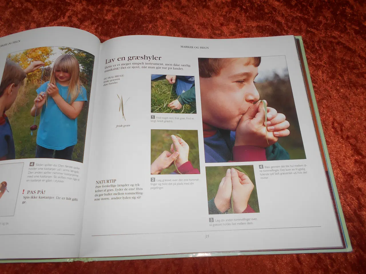 Billede 3 - 50 natur aktiviteter, Cecilia Fitzsimons,