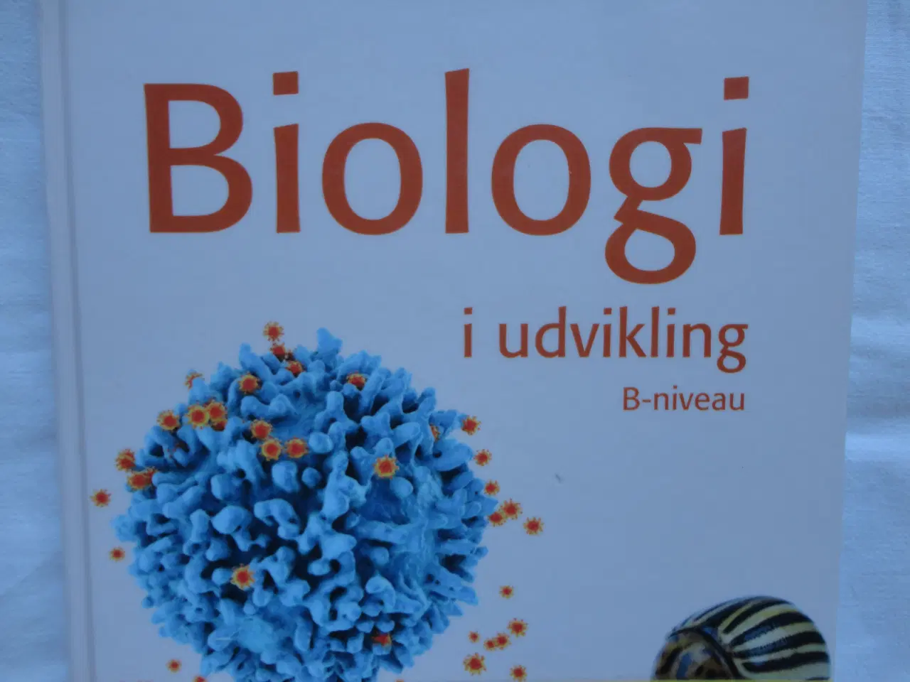 Billede 1 - Biologi i udvikling - B-niveau :