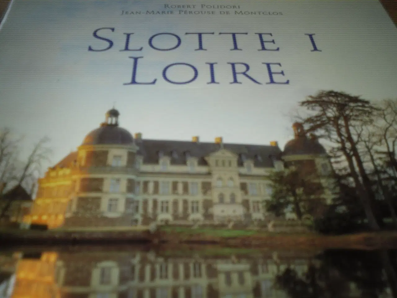 Billede 1 - SLOTTE  I  Loire.