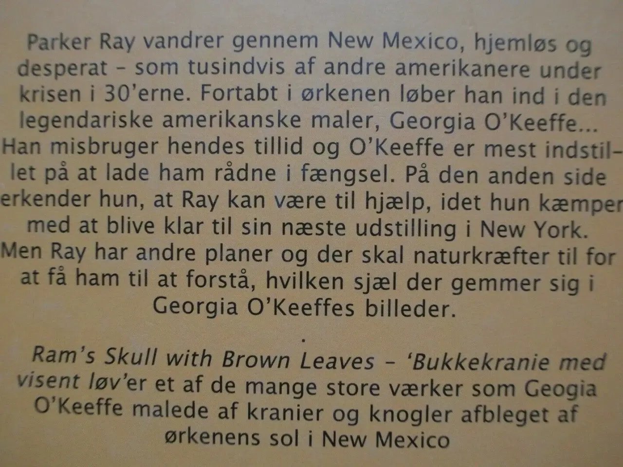 Billede 3 - sjælefanger - ørkenens sjæl - en historie om kunst