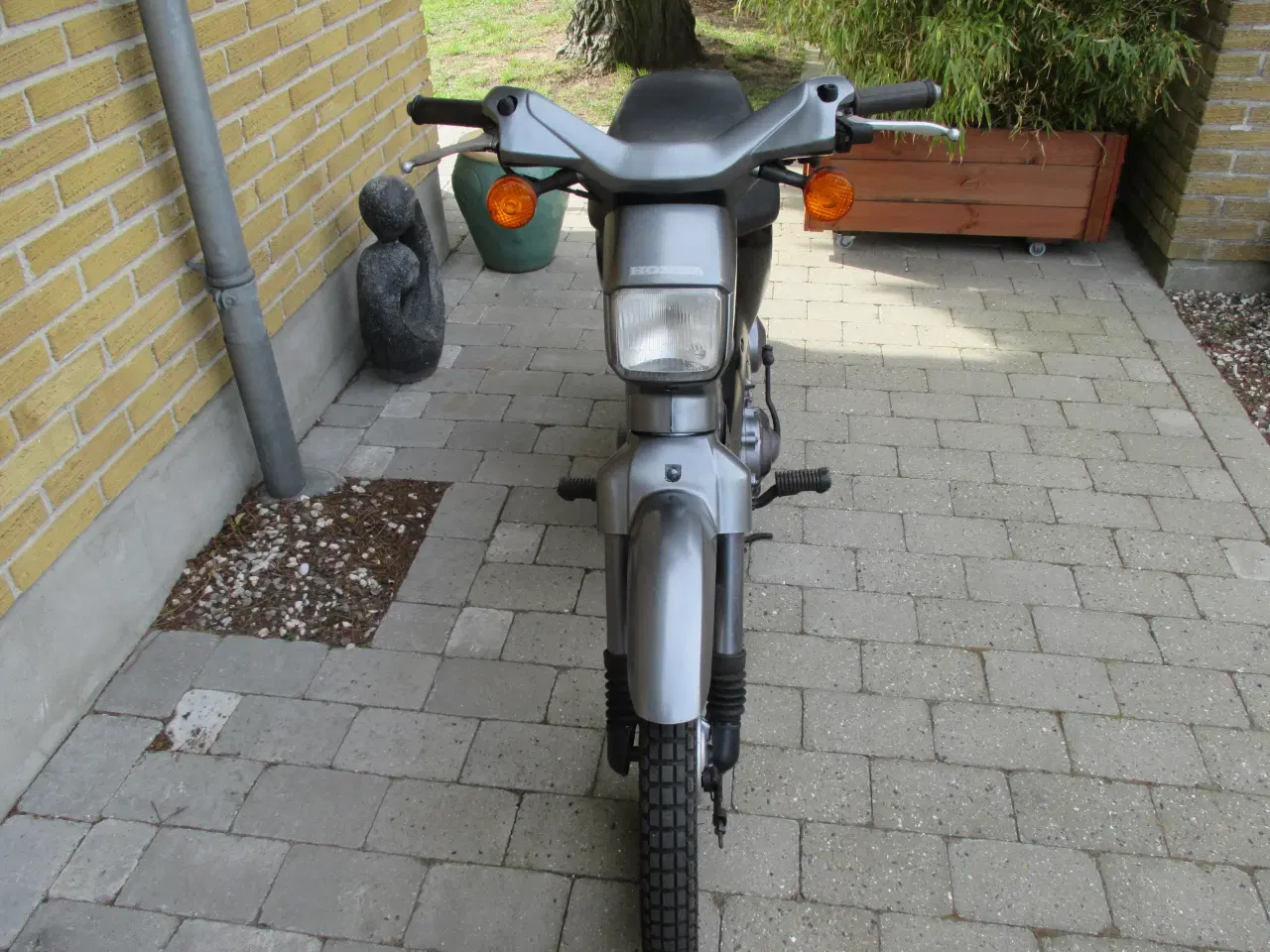 Billede 4 - Honda Wallaro