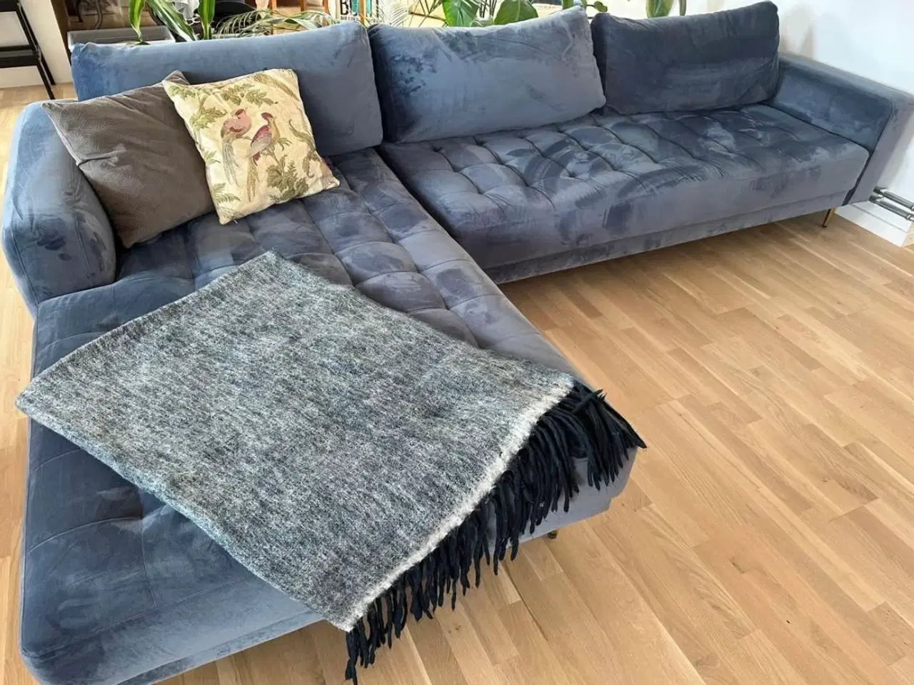 Billede 3 - FLYTTESALG/ VELOURSOFA MED CHAISELONG 