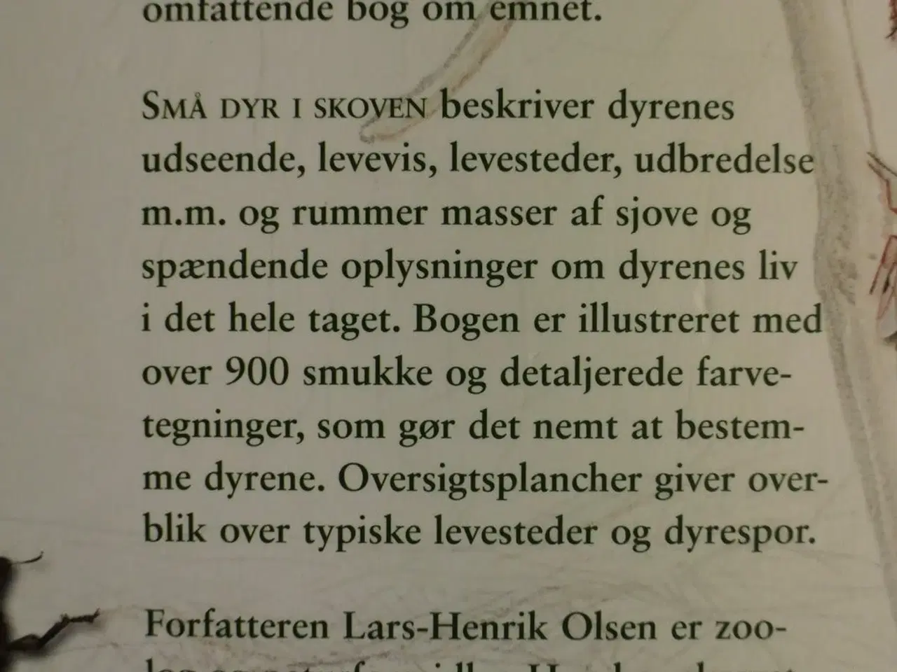 Billede 4 - små dyr i skoven, af lars-henrik olsen mfl. ,