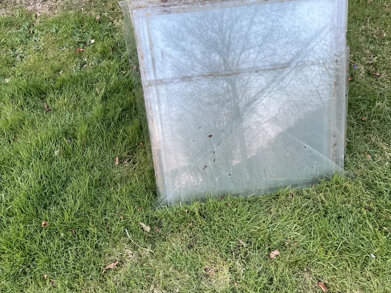 Billede 1 - Drivhus Glas