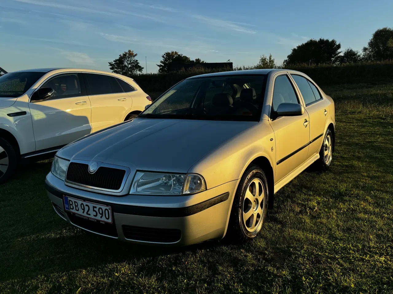 Billede 2 - Skoda Octavia synet 4/2024